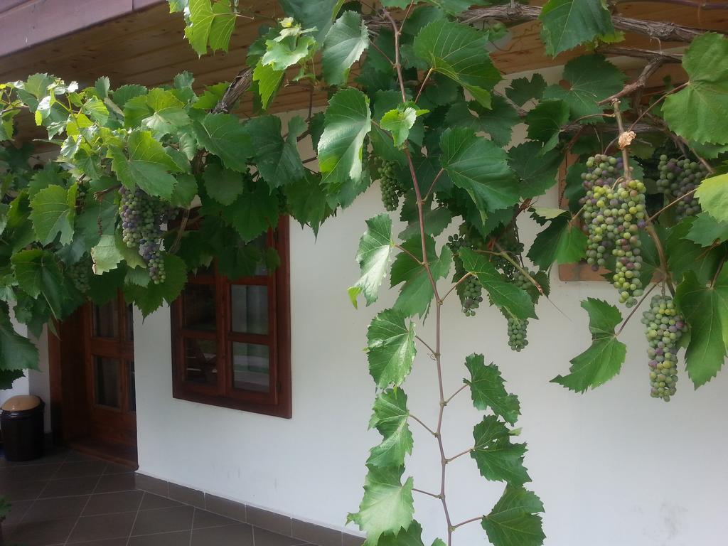 Lugas Vendégház Felsőtold Exterior foto